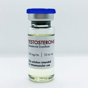 Testosterone Enantato Vendita Online – Farmacia Italiana Genova 250 mg/ml